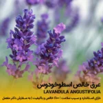 عرق اسطوخودوس