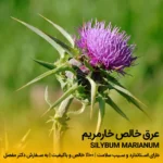 عرق خارمریم