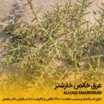 عرق خارشتر