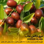 عرق عناب