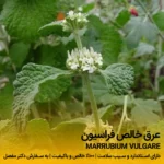 عرق فراسیون