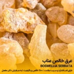 عرق کندر