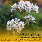 عرق سنبل الطیب