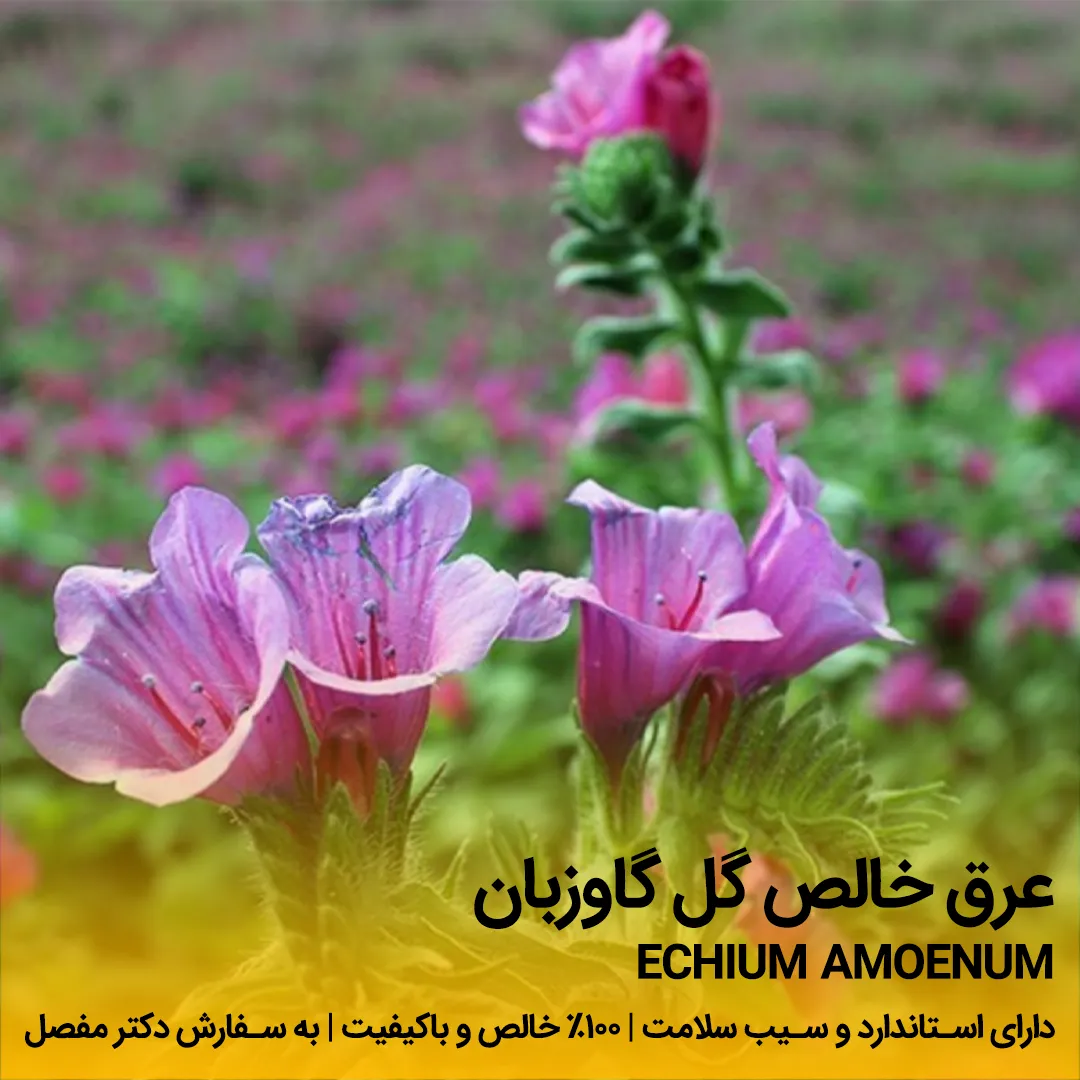 خرید عرق گل گاوزبان خالص عرق گل گاوزبان - تصویر 1