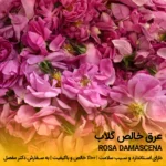 عرق گلاب